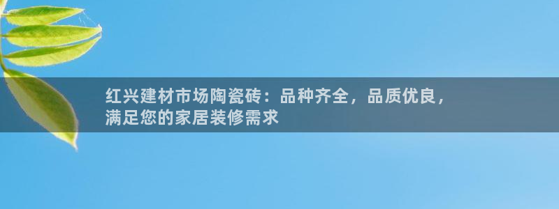 杏鑫官网最新信息